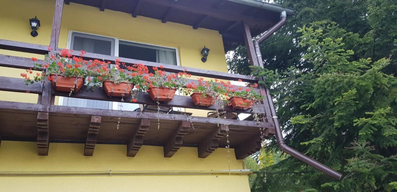 סינאיה Apartamente Private A&L View מראה חיצוני תמונה
